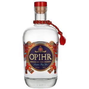 Gin - Pravalia cu licori