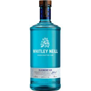 Gin - Pravalia cu licori
