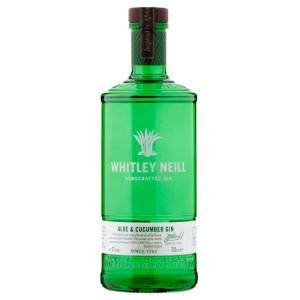 Gin - Pravalia cu licori