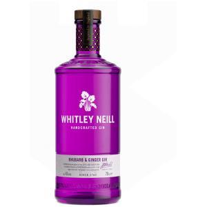 Gin - Pravalia cu licori