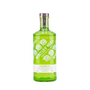 Gin - Pravalia cu licori