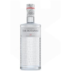 Gin - Pravalia cu licori