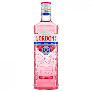 Gin - Pravalia cu licori