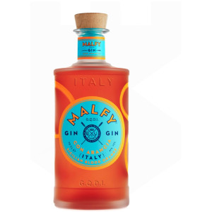 Gin - Pravalia cu licori