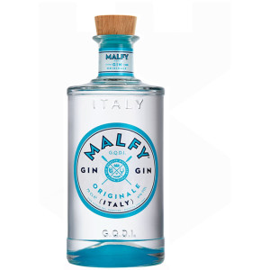Gin - Pravalia cu licori