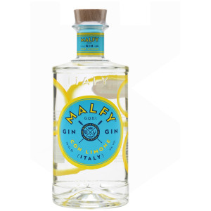 Gin - Pravalia cu licori